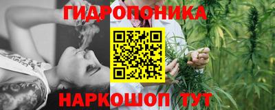 амф Кимры