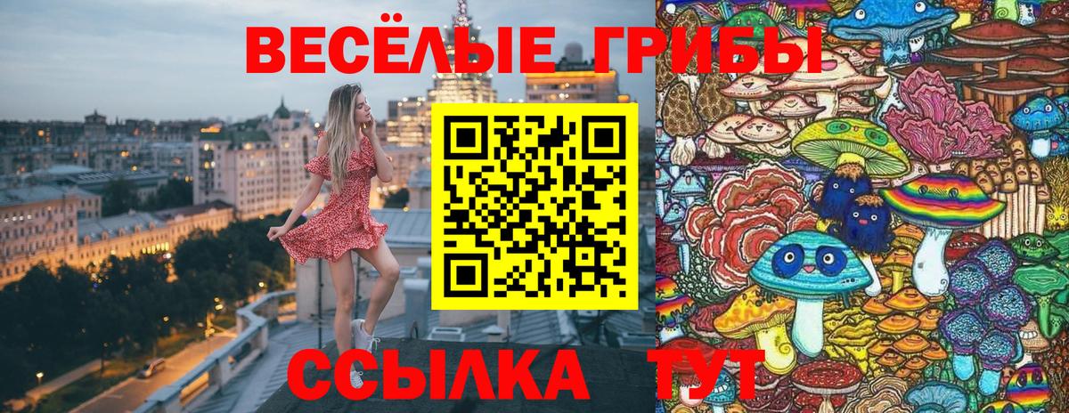 Конаково  как найти закладки  Вход с VPN  Псилоцибиновые грибы Magic Shrooms 